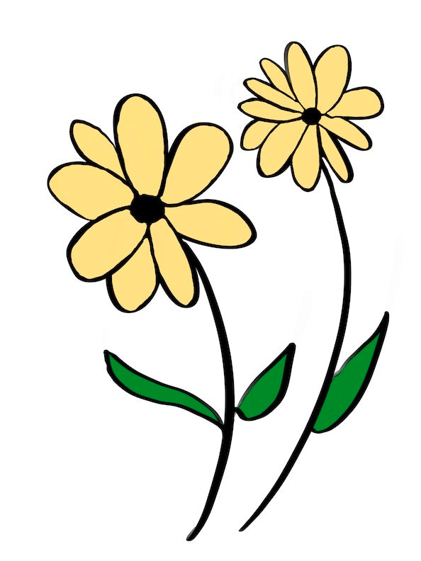 Golden Daisy Duo