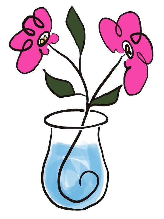 Orchid Serenity